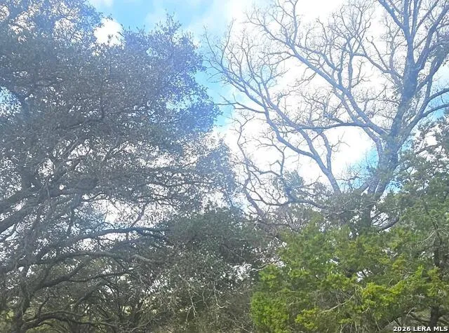 PROSPECT/YUCCA Prospect/Yucca Horseshoe Bay, TX 78748