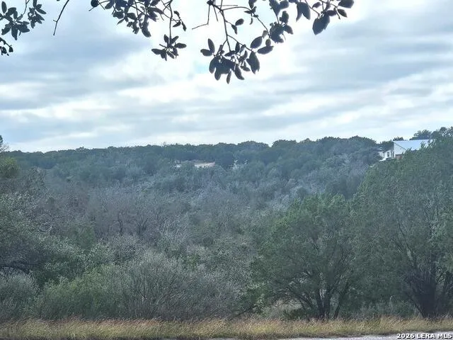 PROSPECT/YUCCA Prospect/Yucca Horseshoe Bay, TX 78748