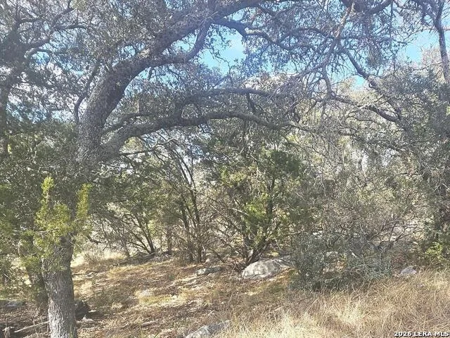 PROSPECT/YUCCA Prospect/Yucca Horseshoe Bay, TX 78748
