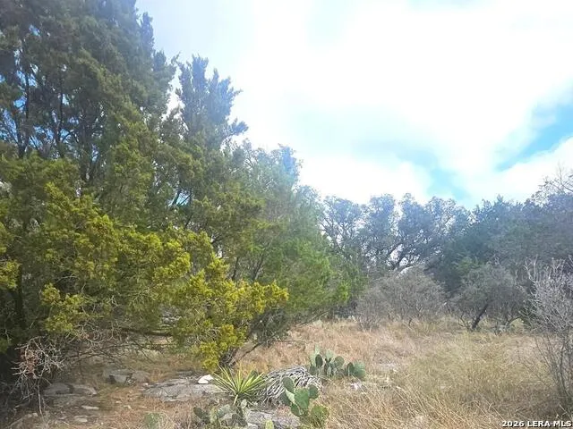 PROSPECT/YUCCA Prospect/Yucca Horseshoe Bay, TX 78748
