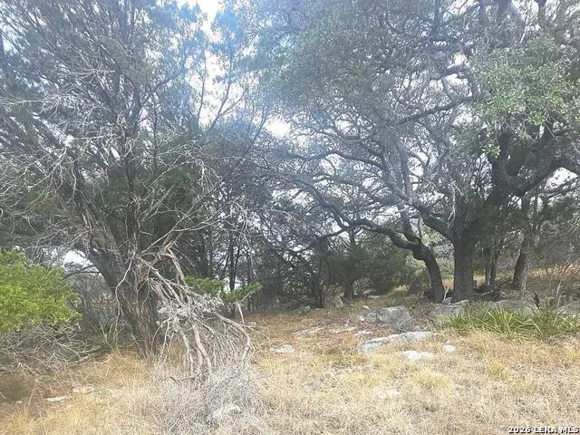 PROSPECT/YUCCA Prospect/Yucca Horseshoe Bay, TX 78748