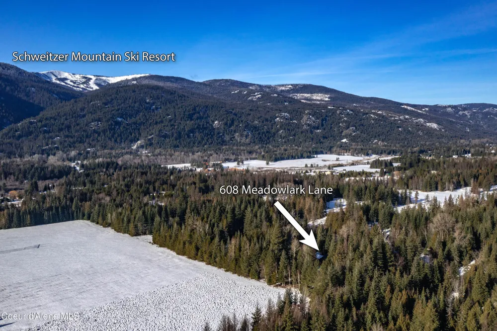 608 Meadowlark Lane Sandpoint, ID 83864