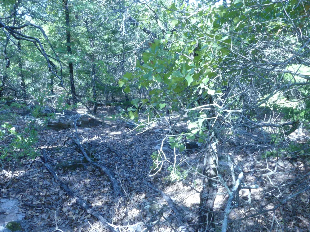 1746 Dog Kennel Road Sunset, TX 76270