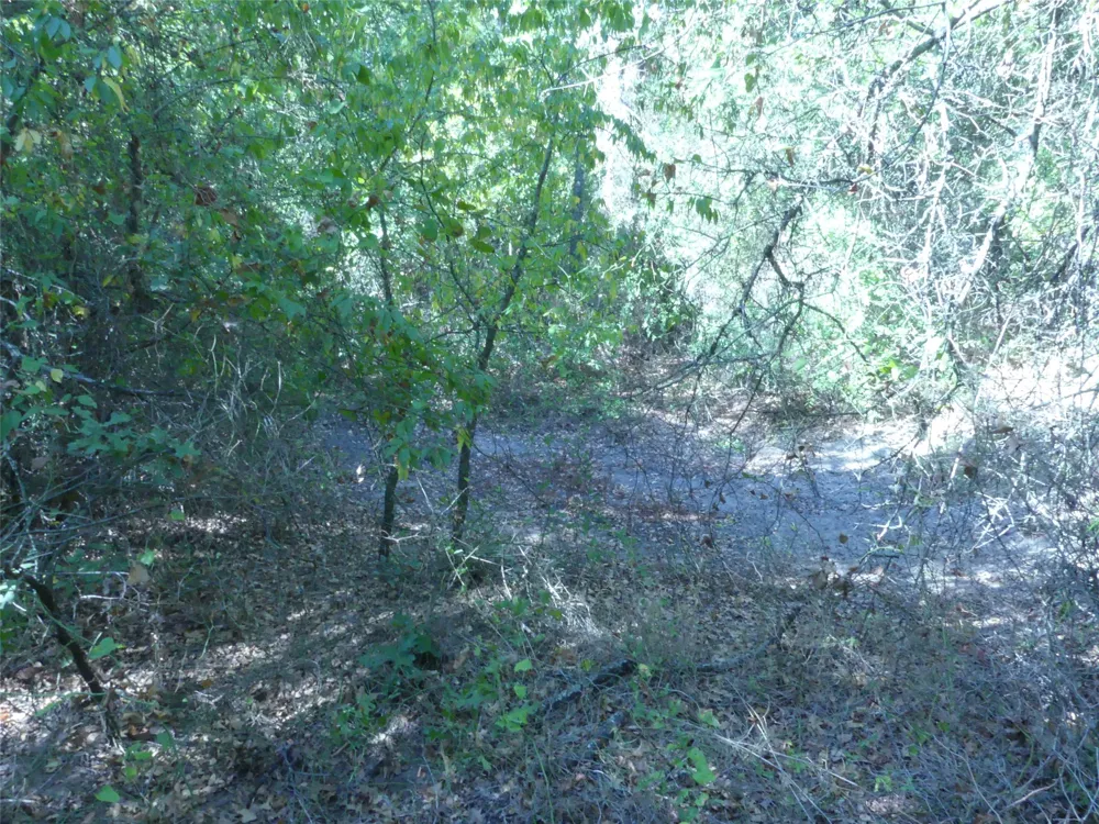 1746 Dog Kennel Road Sunset, TX 76270