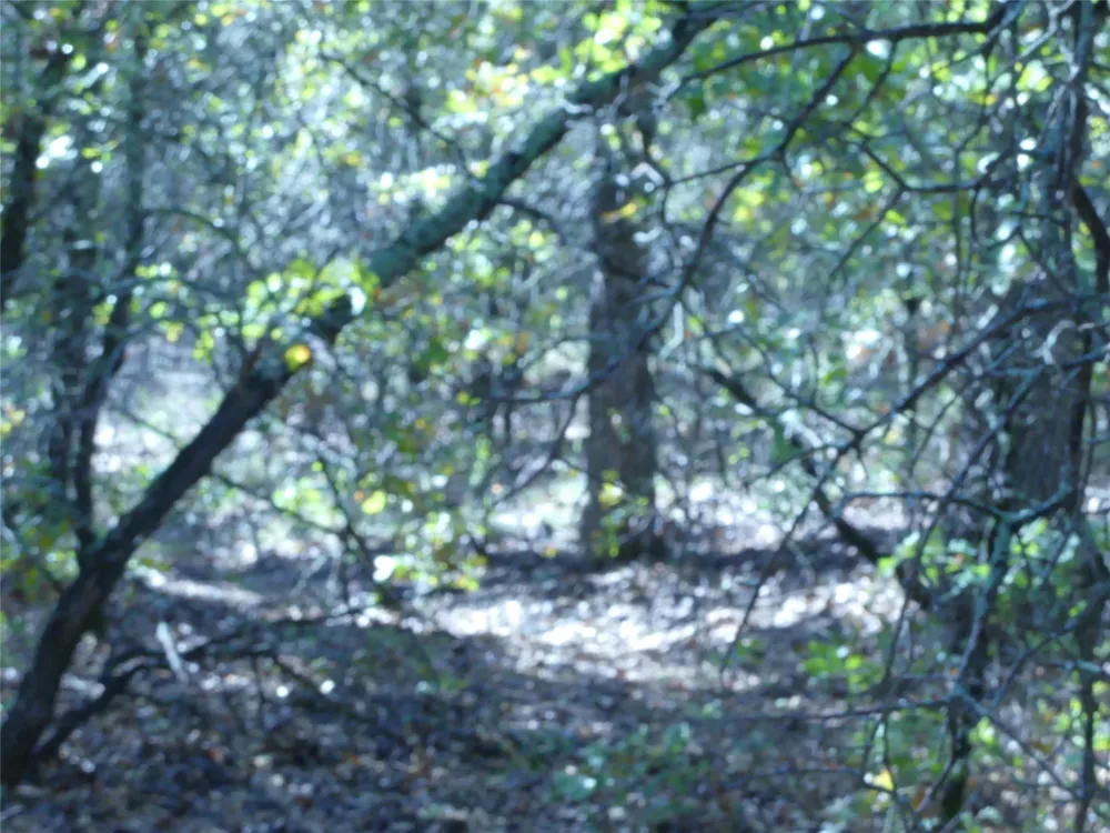 1746 Dog Kennel Road Sunset, TX 76270