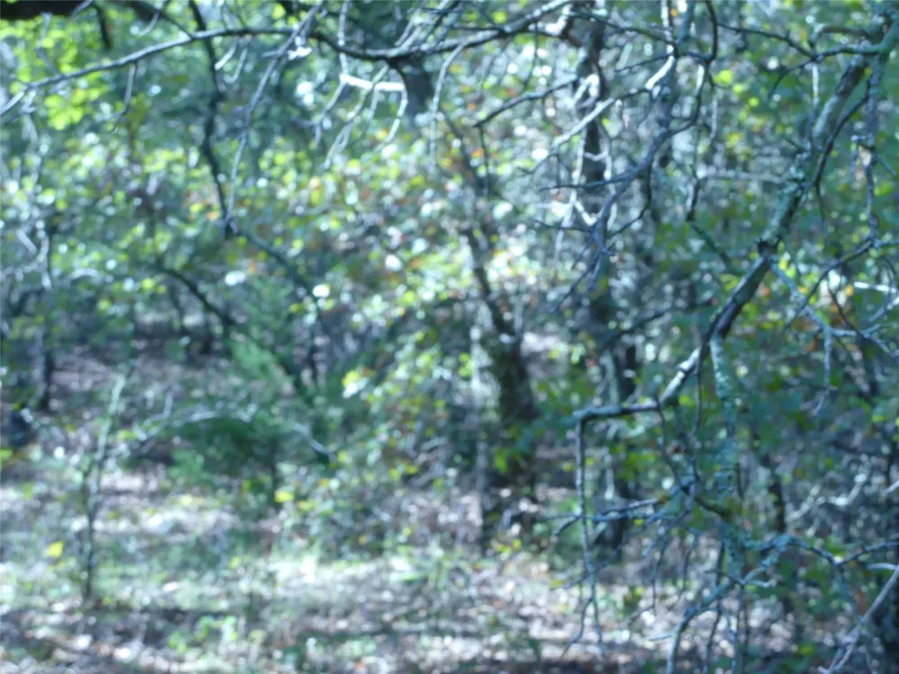 1746 Dog Kennel Road Sunset, TX 76270