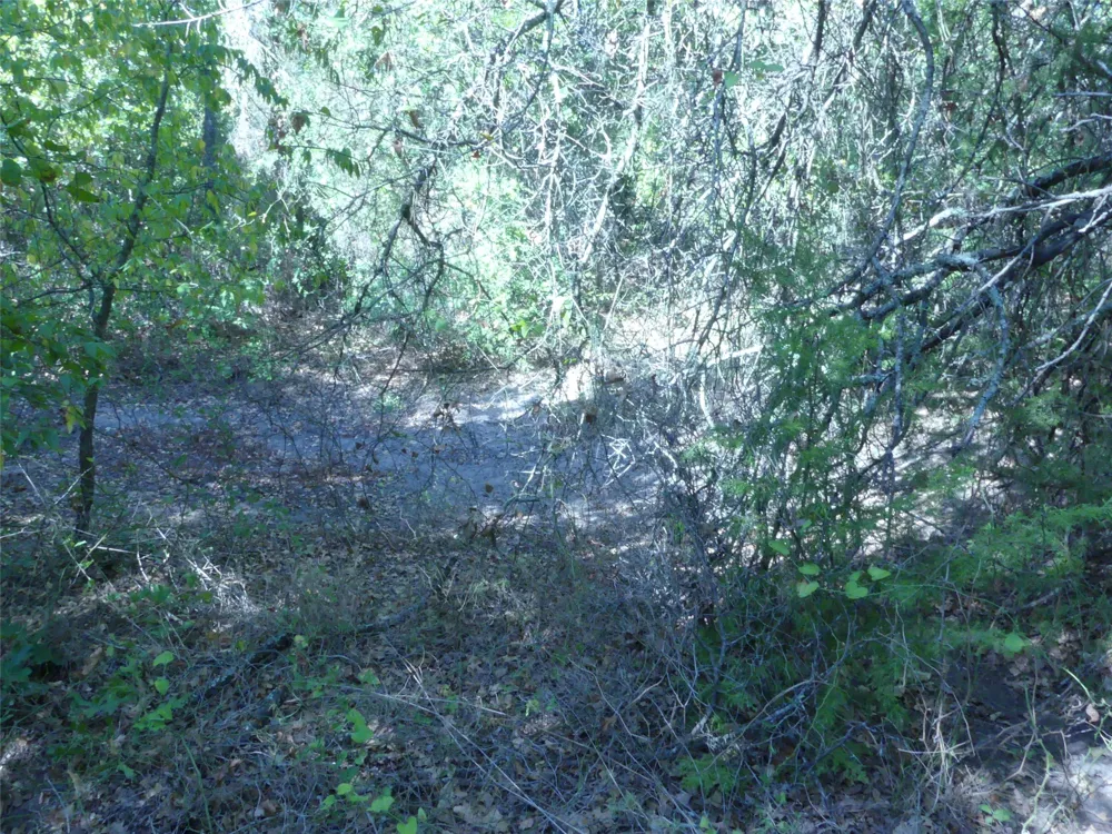 1746 Dog Kennel Road Sunset, TX 76270
