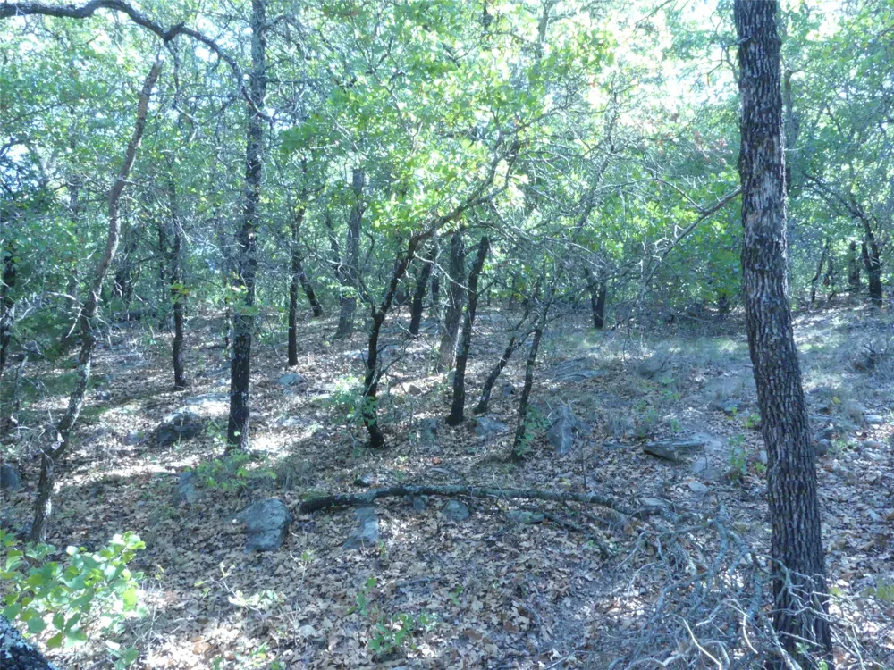 1746 Dog Kennel Road Sunset, TX 76270