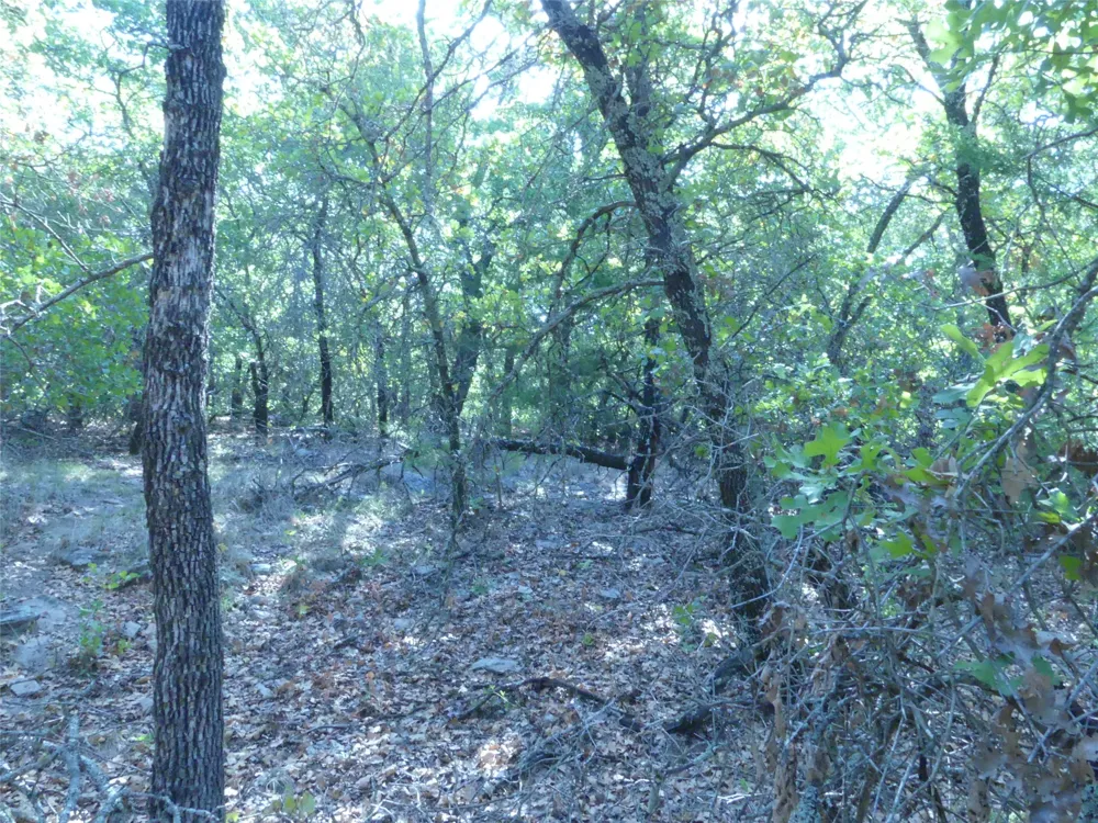 1746 Dog Kennel Road Sunset, TX 76270