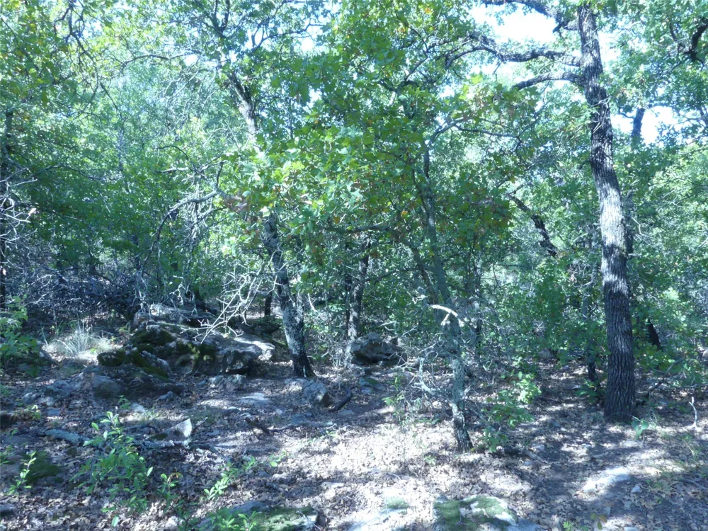 1746 Dog Kennel Road Sunset, TX 76270