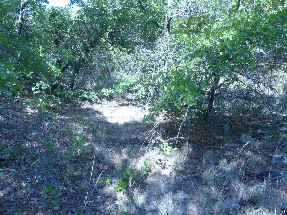 1746 Dog Kennel Road Sunset, TX 76270