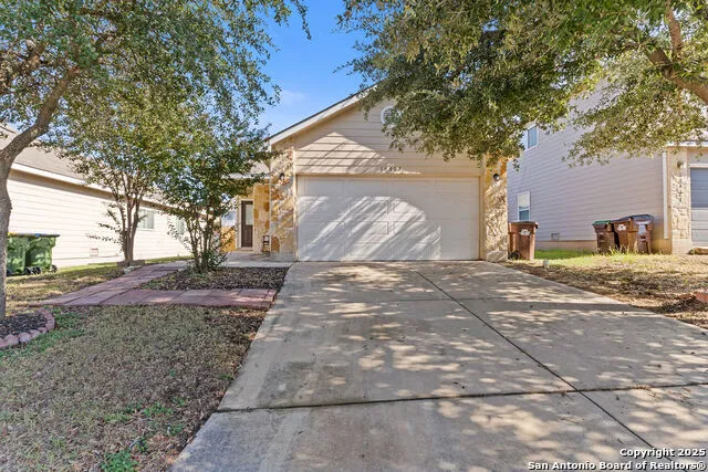 10907 Western Cactus