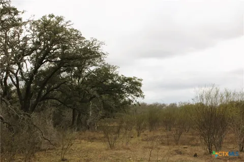 FM 3353