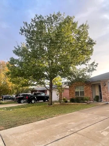 280 Spruce Drive Kyle, TX 78640
