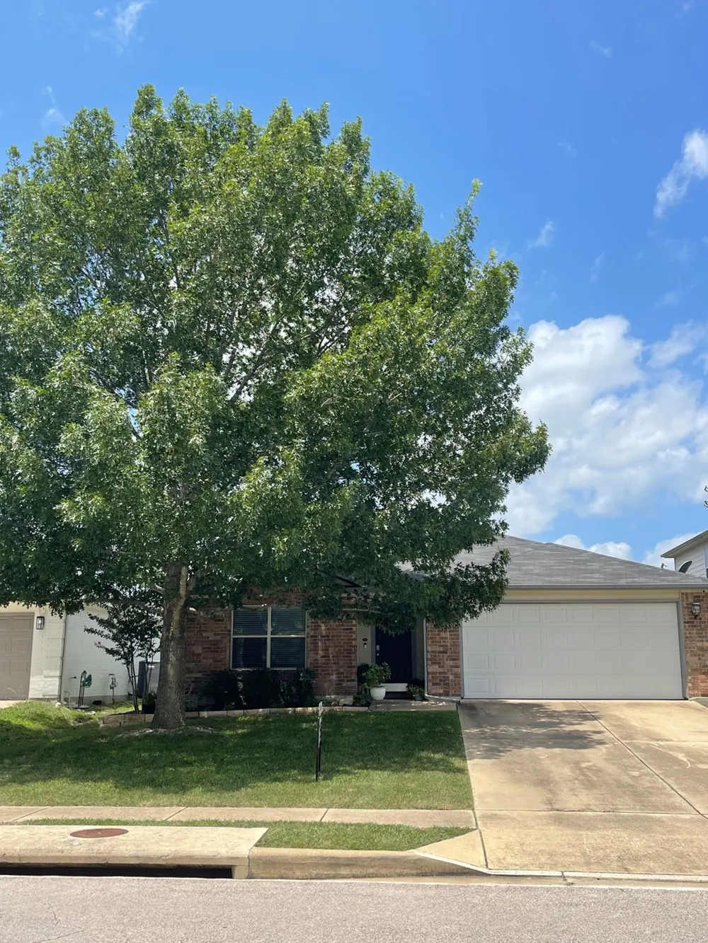 280 Spruce Drive Kyle, TX 78640