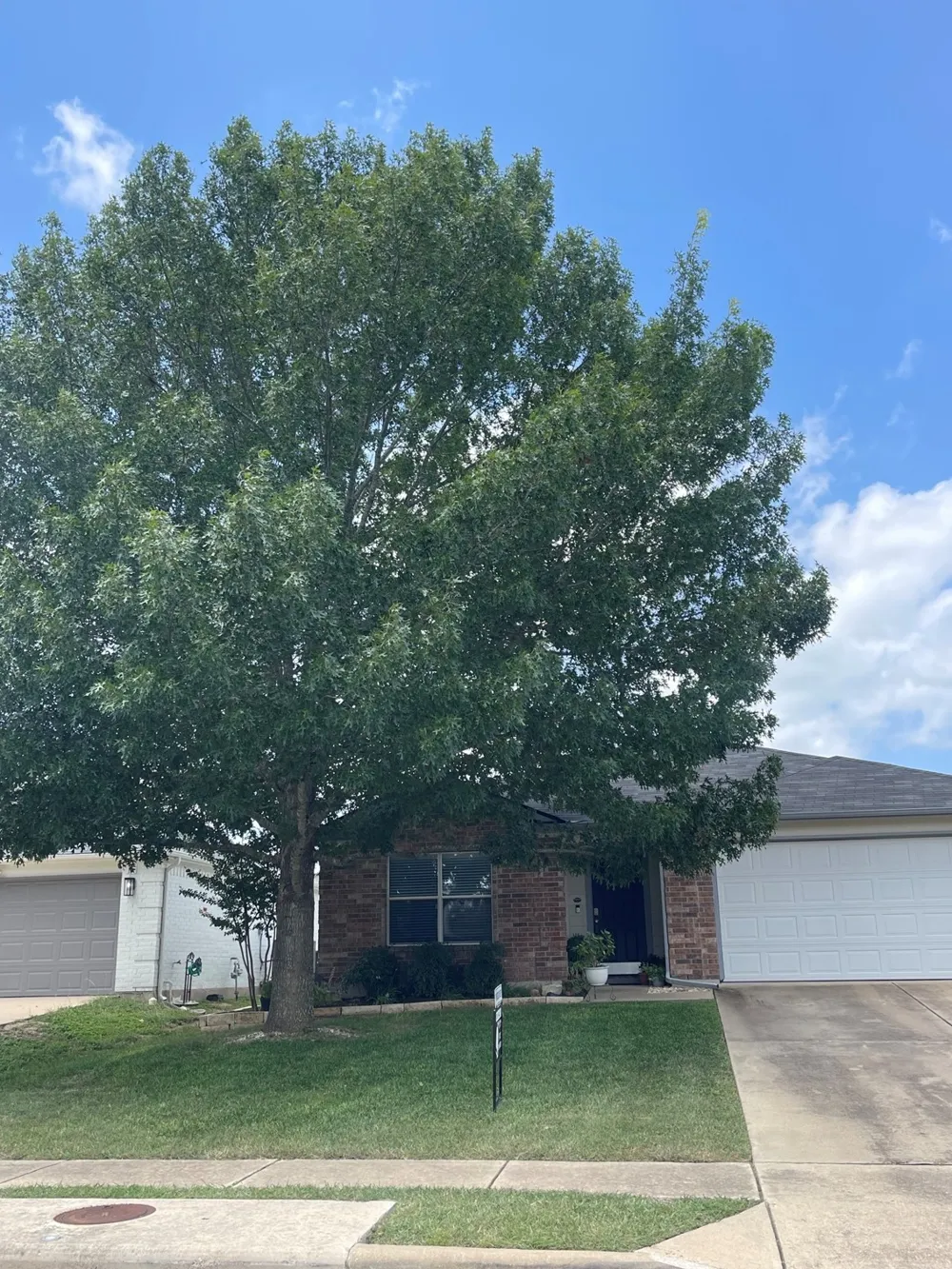 280 Spruce Drive Kyle, TX 78640