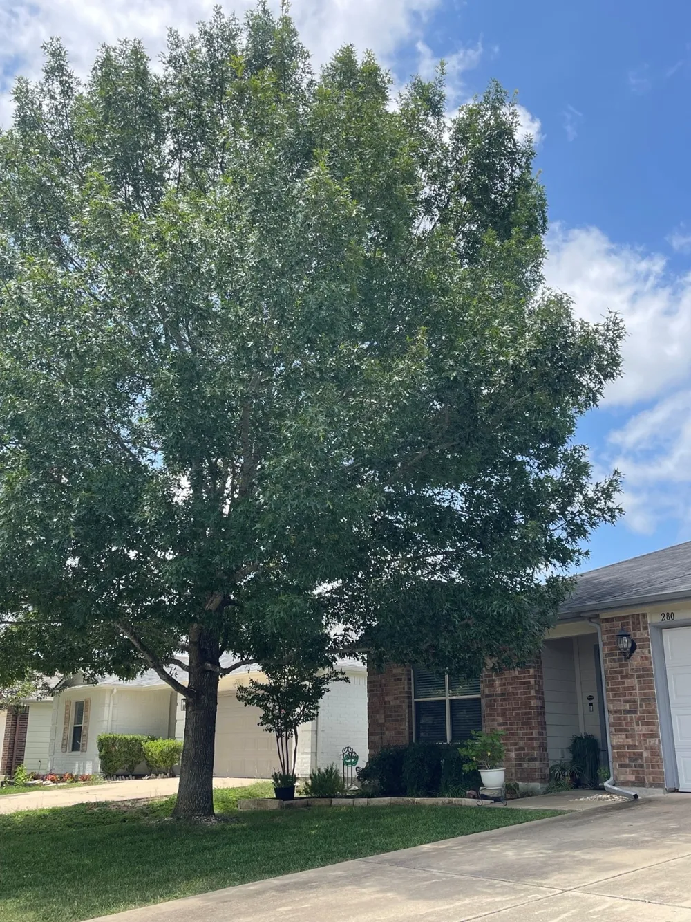 280 Spruce Drive Kyle, TX 78640