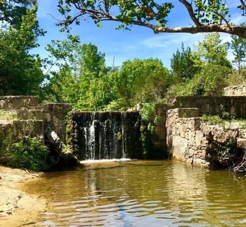 100 Dario Drive