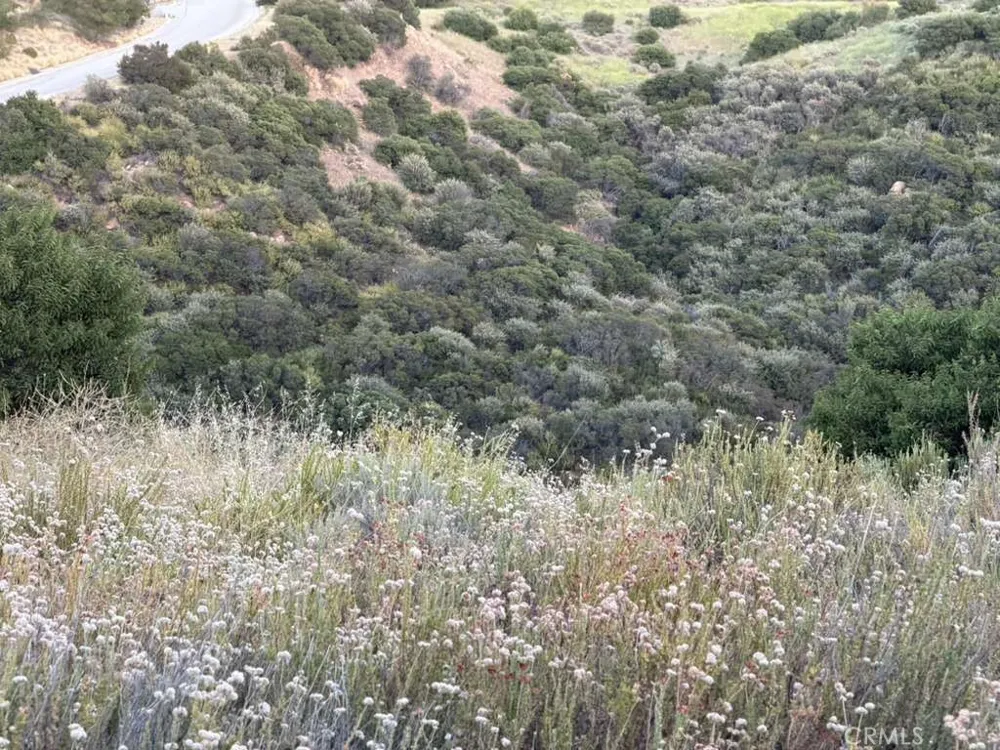 4 Coya Trail Chatsworth, CA 91311