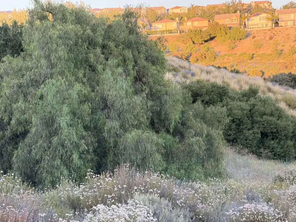 4 Coya Trail Chatsworth, CA 91311