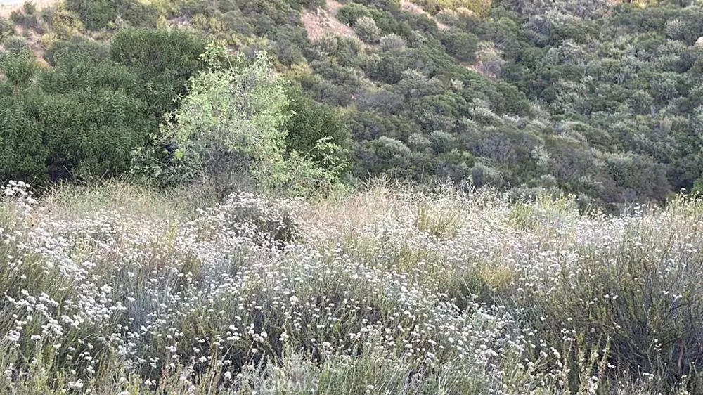 4 Coya Trail Chatsworth, CA 91311