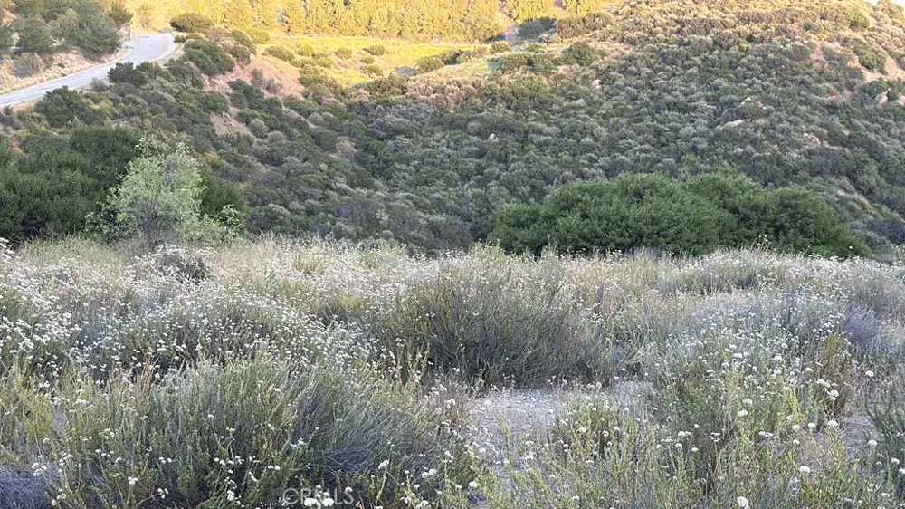 4 Coya Trail Chatsworth, CA 91311