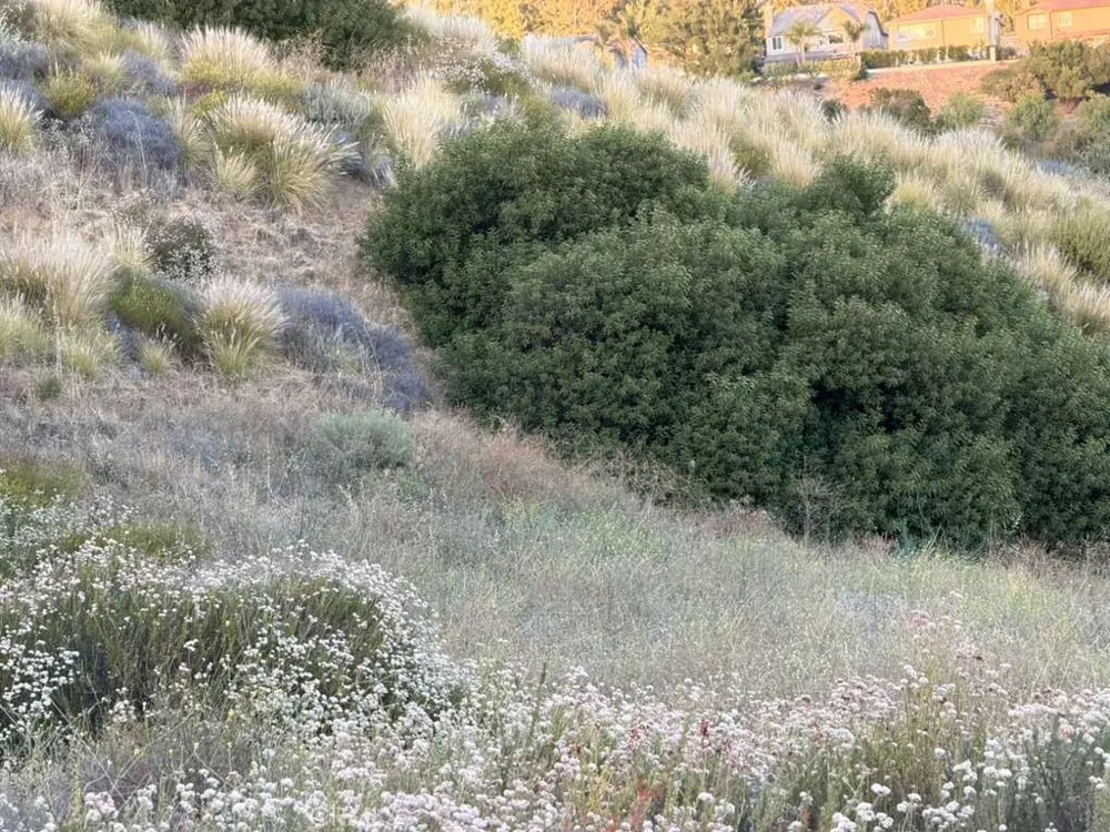 4 Coya Trail Chatsworth, CA 91311