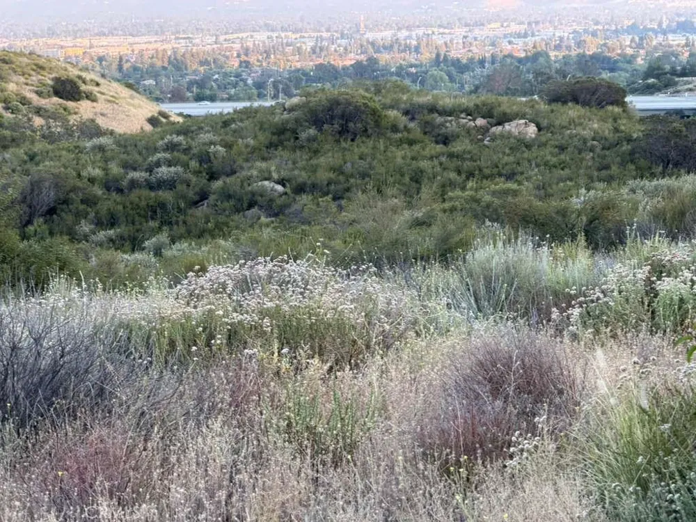 4 Coya Trail Chatsworth, CA 91311
