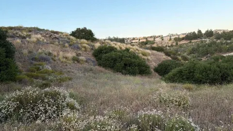 4 Coya Trail