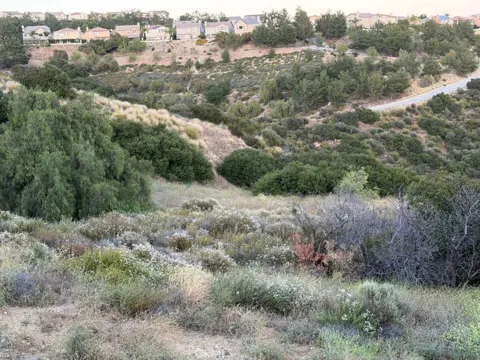 2 Coya Trail