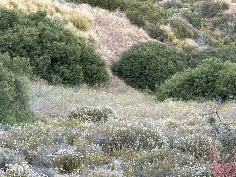 2 Coya Trail Chatsworth, CA 91311