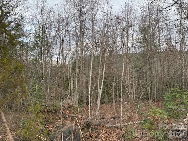 0 S Old Nc 18 Highway S Connelly Springs, NC 28612