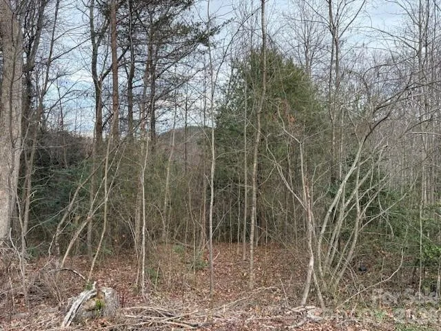 0 S Old Nc 18 Highway S Connelly Springs, NC 28612