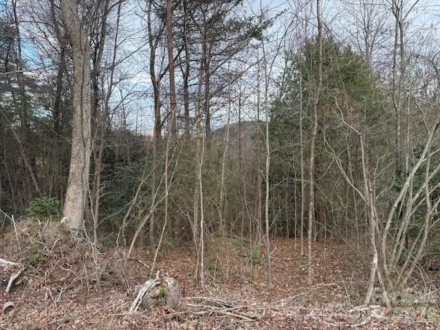 0 S Old Nc 18 Highway S Connelly Springs, NC 28612