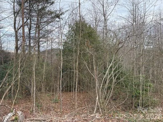 0 S Old Nc 18 Highway S Connelly Springs, NC 28612