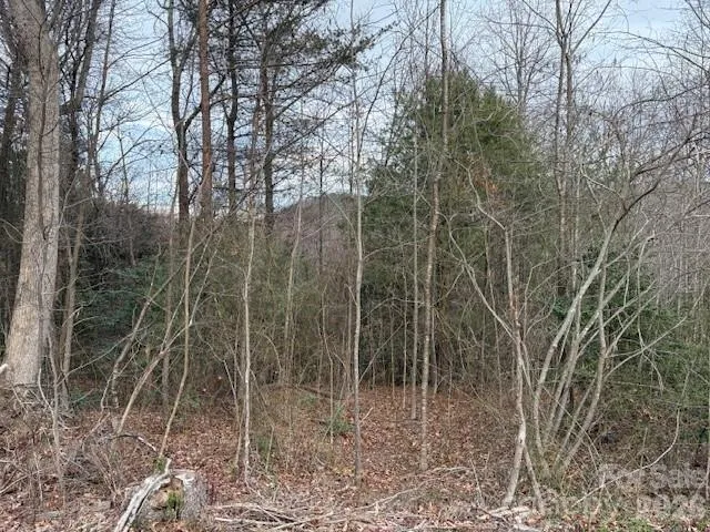 0 S Old Nc 18 Highway S Connelly Springs, NC 28612