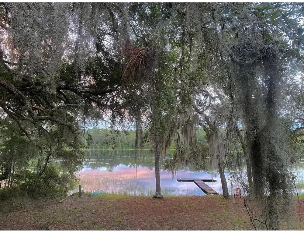 14730 SE 61ST STREET ROAD Ocklawaha, FL 32179