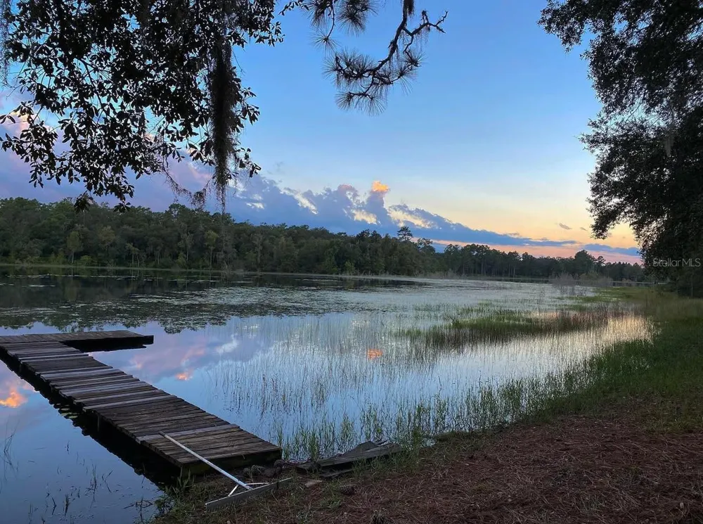 14730 SE 61ST STREET ROAD Ocklawaha, FL 32179