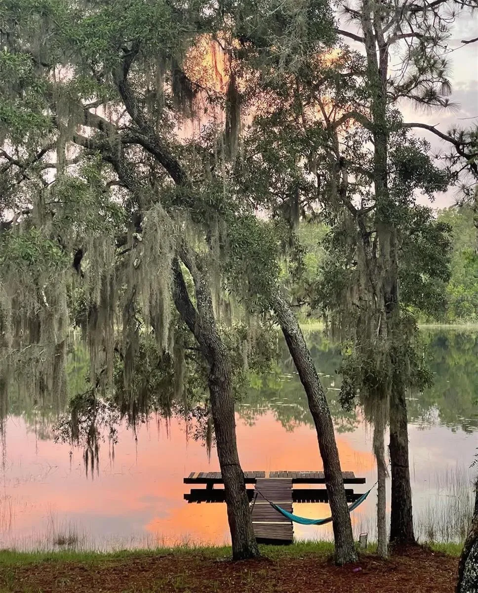 14730 SE 61ST STREET ROAD Ocklawaha, FL 32179