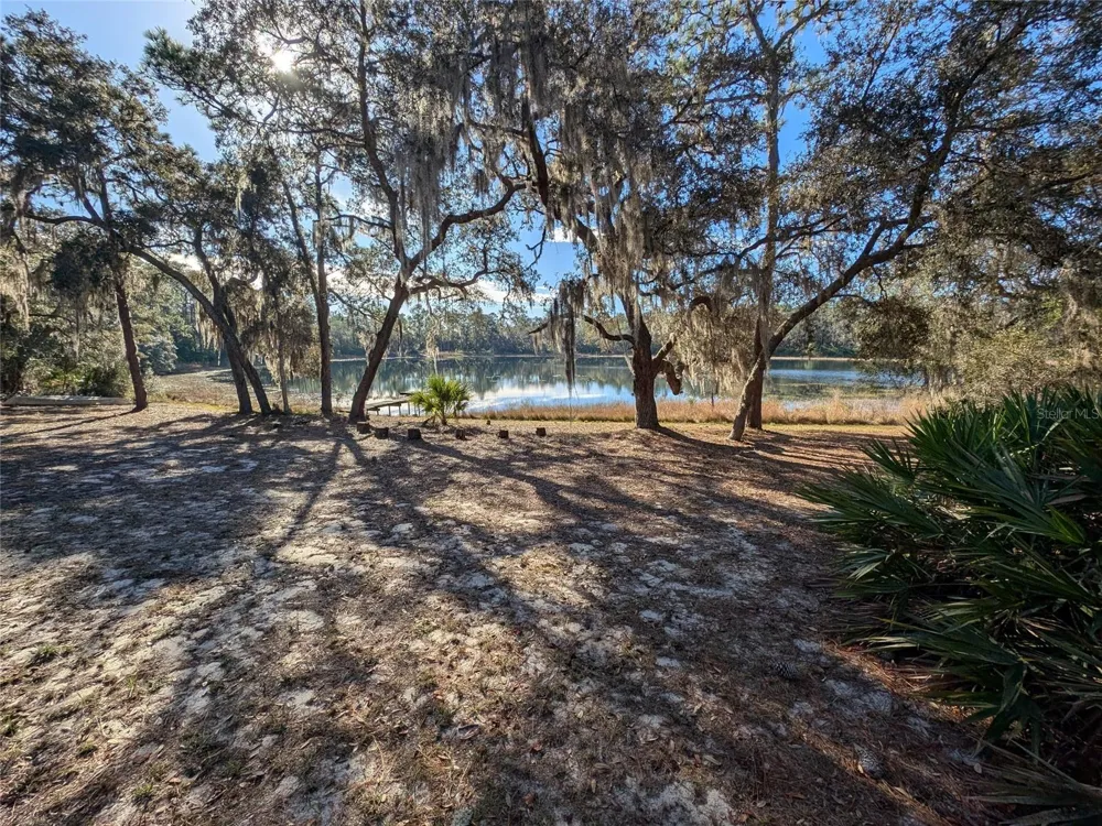 14730 SE 61ST STREET ROAD Ocklawaha, FL 32179