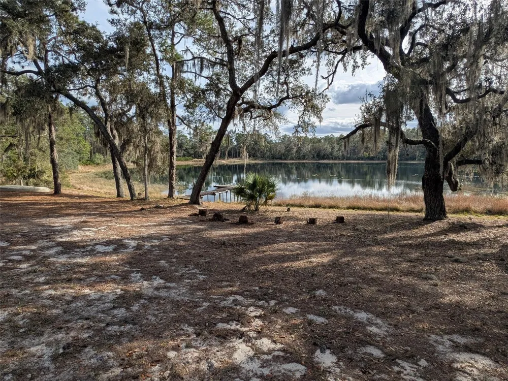 14730 SE 61ST STREET ROAD Ocklawaha, FL 32179