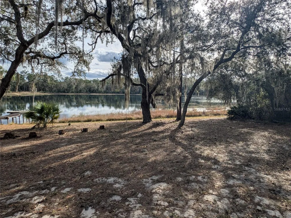 14730 SE 61ST STREET ROAD Ocklawaha, FL 32179