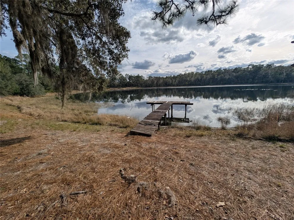 14730 SE 61ST STREET ROAD Ocklawaha, FL 32179