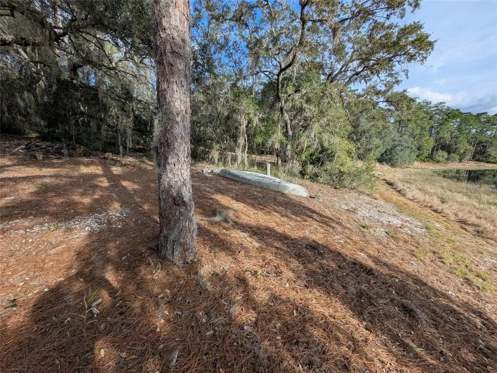 14730 SE 61ST STREET ROAD Ocklawaha, FL 32179