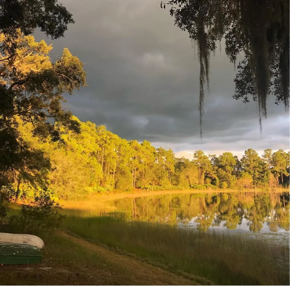 14730 SE 61ST STREET ROAD Ocklawaha, FL 32179