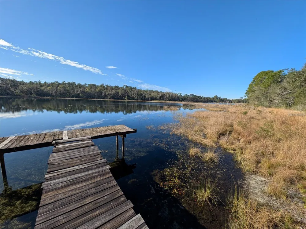 14730 SE 61ST STREET ROAD Ocklawaha, FL 32179