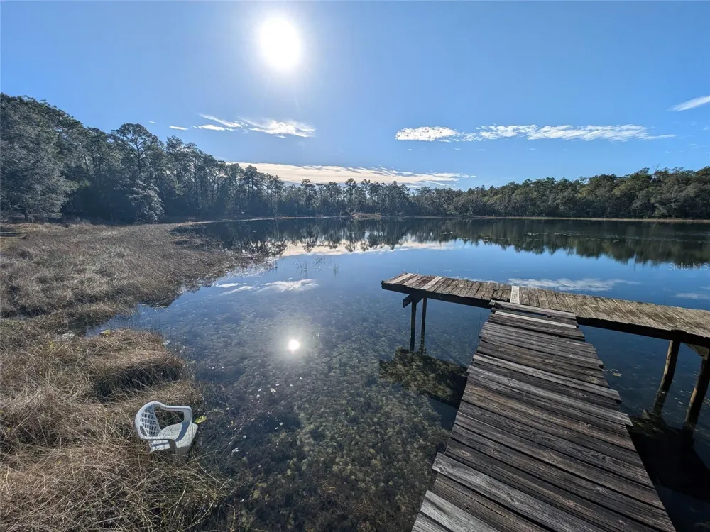 14730 SE 61ST STREET ROAD Ocklawaha, FL 32179