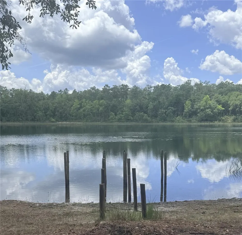 14730 SE 61ST STREET ROAD Ocklawaha, FL 32179