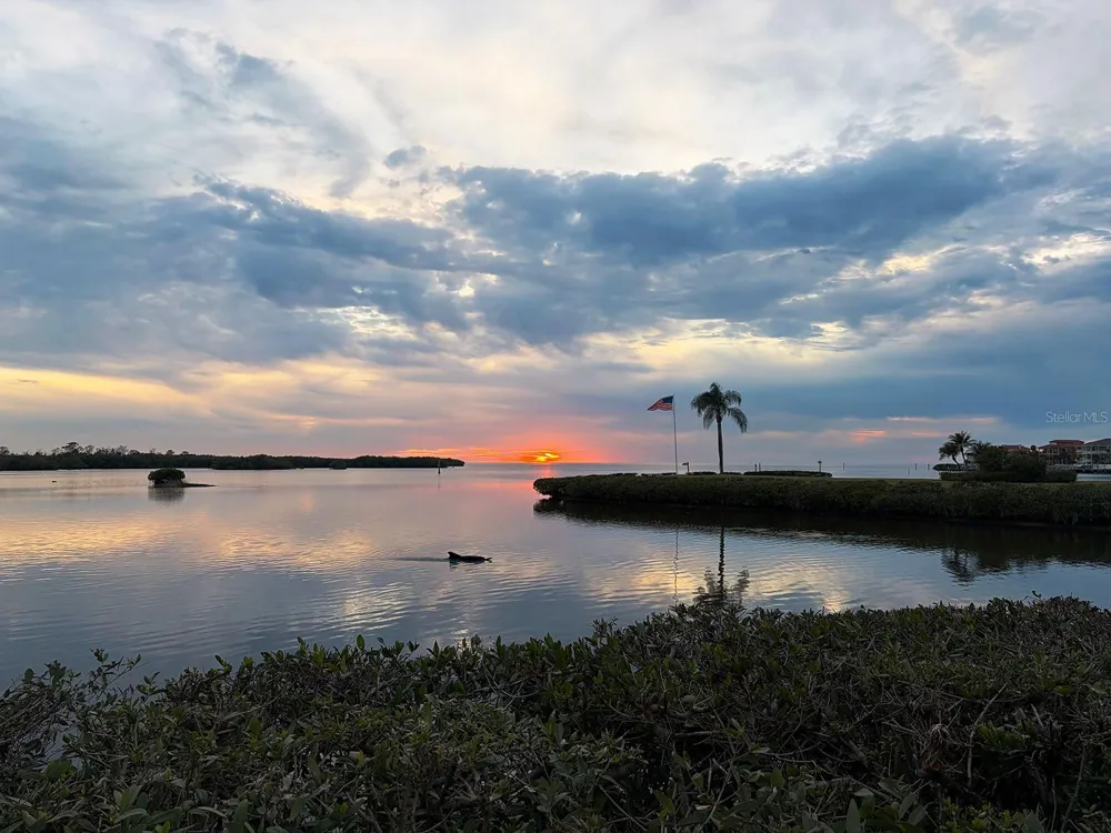 4620 BAY BOULEVARD #1122 Port Richey, FL 34668