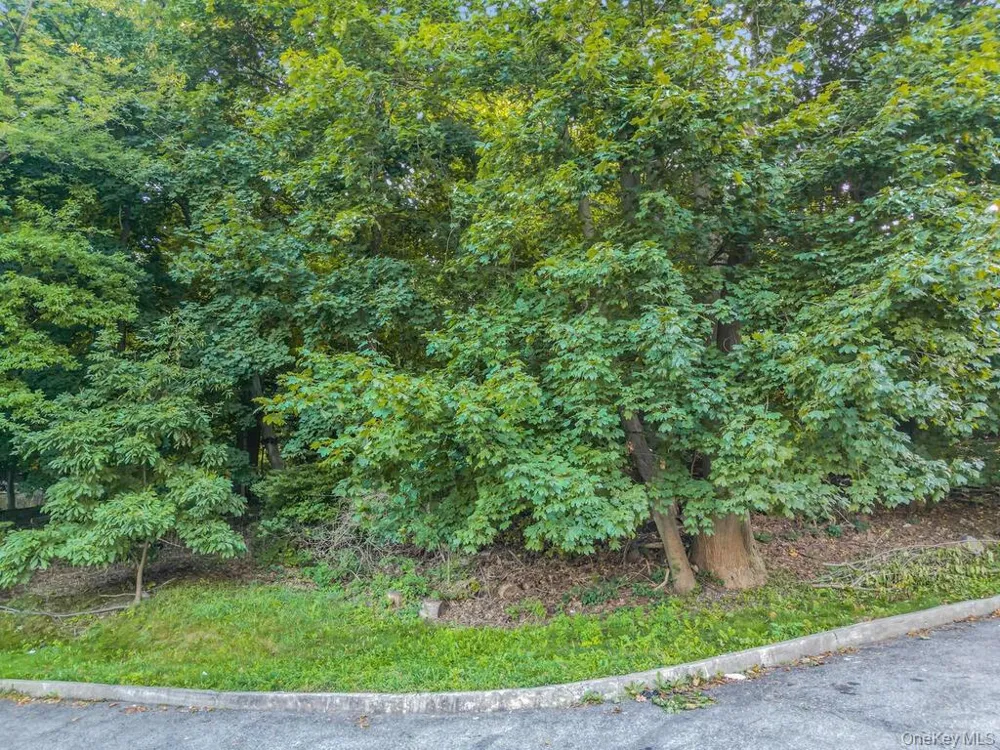 10-13-75 Dickinson Avenue Yonkers, NY 10703